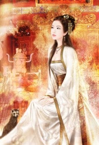 夫人在上,将军在下